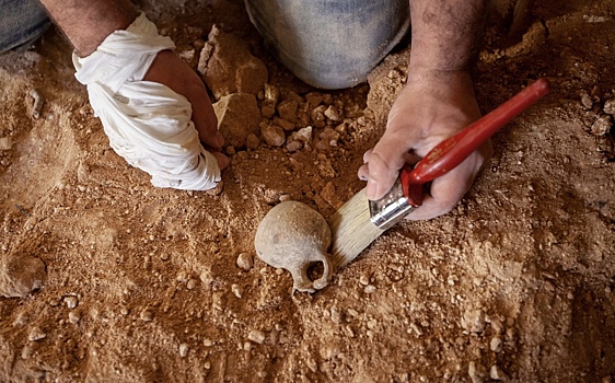 В Узбекистане обнаружили остатки существовавшего 2 тыс. лет назад города