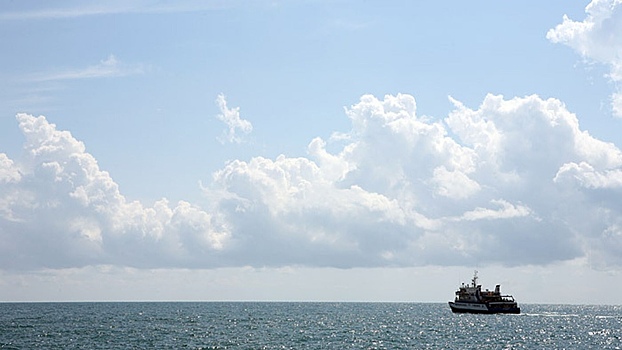 Всемирный банк начал финансирование проекта энергокабеля по дну Черного моря