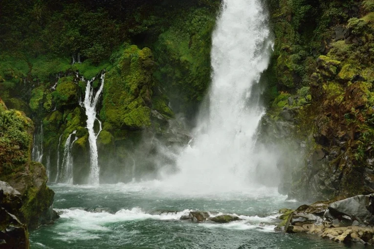 Вулкан, джунгли, пумы: почему все мечтают попасть в заповедник Huilo Huilo в Чили15