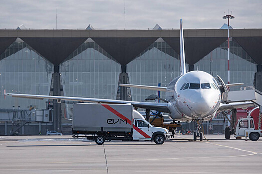 В аэропорту Пулково столкнулись бизнес-джет и самолет