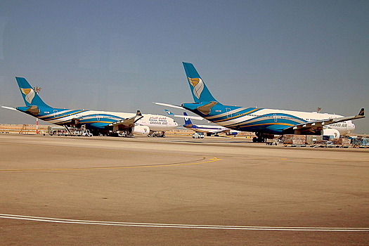 До конца года в Пулково появятся прямые рейсы в Оман