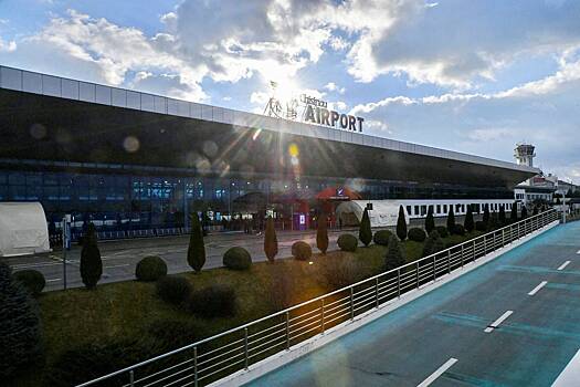 Гуцул заявила об удерживании приехавших из РФ делегатов в аэропорту Кишинева