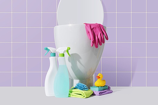 Как отмыть унитаз в домашних условиях