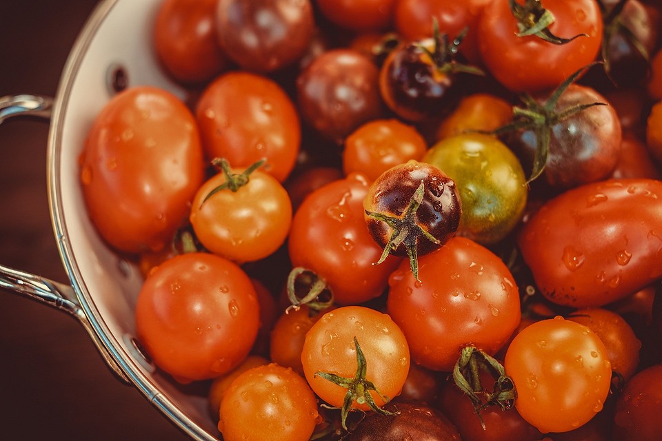 Когда сажать помидоры в июне: благоприятные дни и советы2