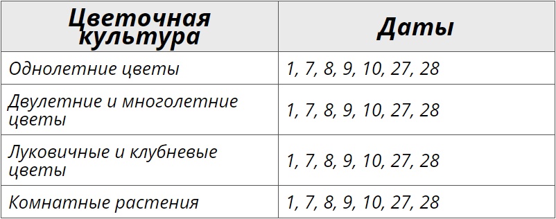 Благоприятные дни для посадки цветов по лунному календарю на август 2024 года – Kleo.ru