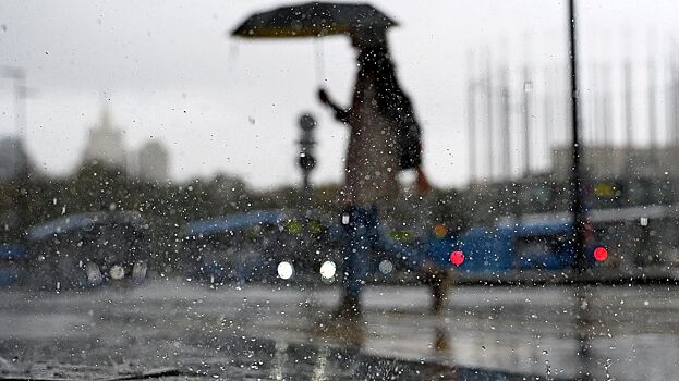 МЧС предупредило о ливнях с градом и сильном ветре в Москве