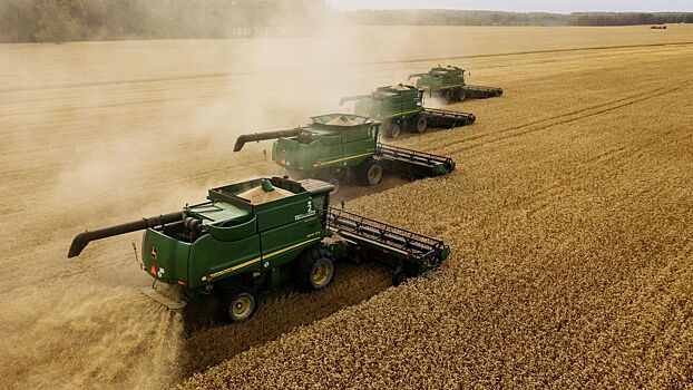 На Украине заявили о нелегальном экспорте зерна