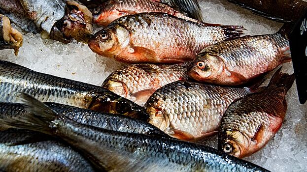 Названы морепродукты, способные заразить детей гепатитом и вызвать шок