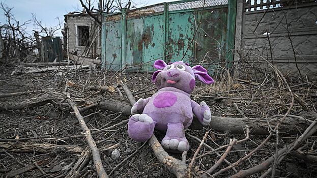 «Не жалеют никого»: ВСУ начиняют детские игрушки бомбами в ДНР