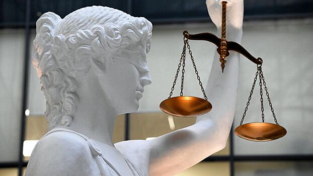Московский суд приговорил немецкого инвестора к 5 годам тюрьмы за хищение акций BelkaCar