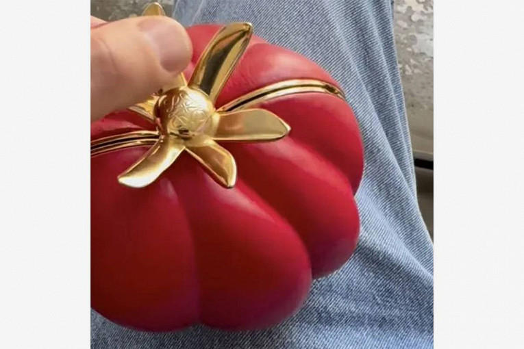 Популярный бренд представил сумку в виде помидора1