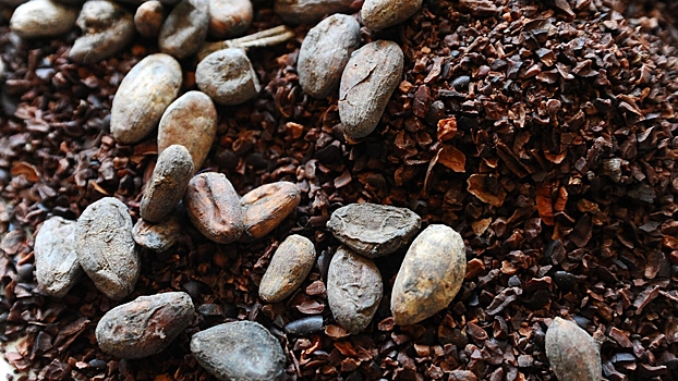 Перу хочет увеличить экспорт какао и кофе в РФ