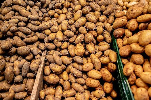Россия начала переговоры о поставках картофеля из Индии