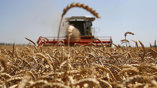 Россия изменит экспортную пошлину на пшеницу