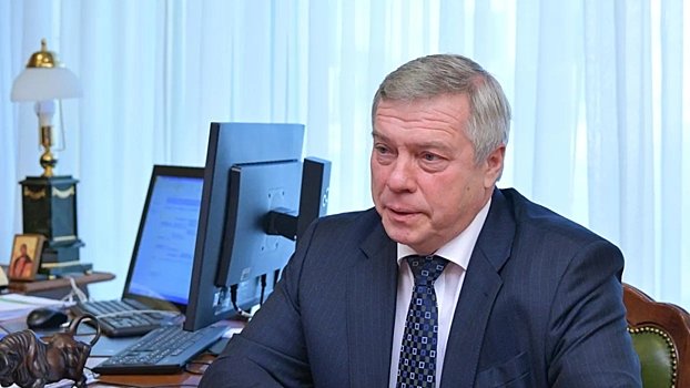 Ростовский губернатор заявил о межнациональных провокациях в мессенджере