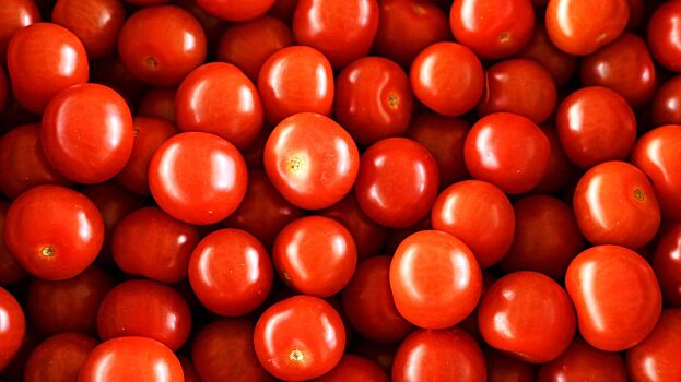 Салат с томатами черри и кремом из базилика: рецепт блюда из меню ПМЭФ