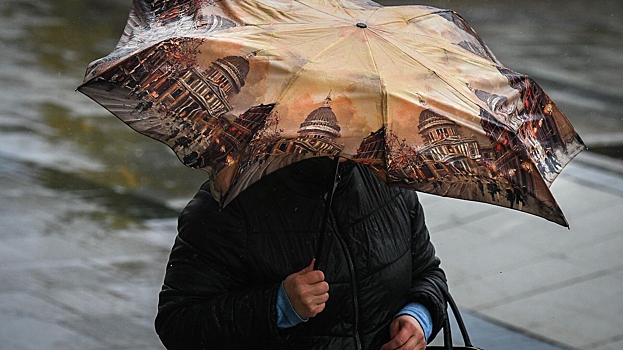 Синоптик предупредил москвичей о дождливой неделе