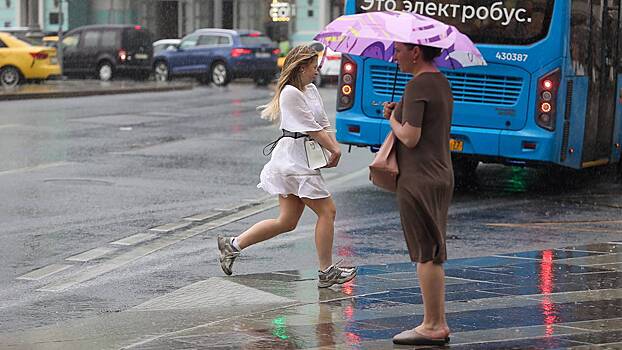 Синоптик назвал срок окончания «дождливого марафона» в Москве