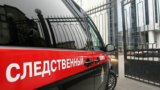 СК возбудил еще одно уголовное дело в рамках расследования убийства скейтера в Москве
