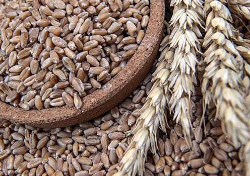 Турция объявила о приостановке закупок пшеницы