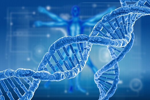 Ученые из Томска нашли ген предрасположенности к метастазам рака легкого