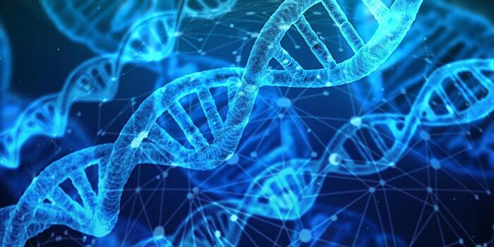 Ученые объяснили, что составляет 98% нашей ДНК, если 2% — это гены