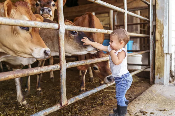 Учёные объяснили, почему некоторые пьют молоко в детстве, но имеют непереносимость лактозы во взрослом возрасте1