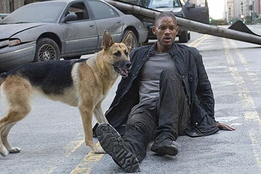 Уилл Смит хотел забрать собаку со съемок фильма «Я — Легенда»