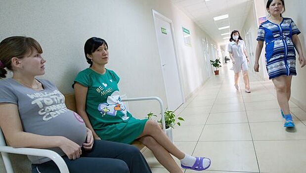 В России придумали чат-бот для беременных