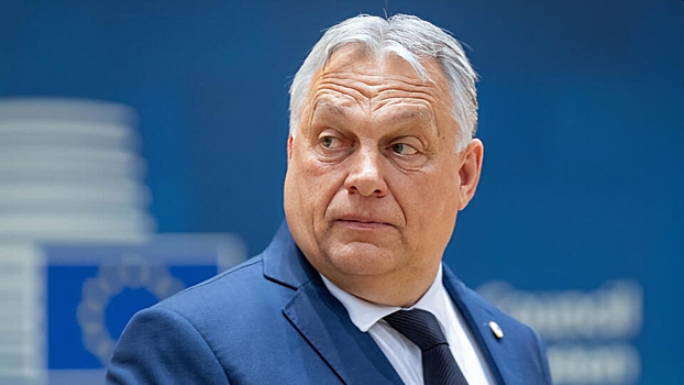 В Венгрии заявили о способности ЕС остановить конфликт на Украине за сутки