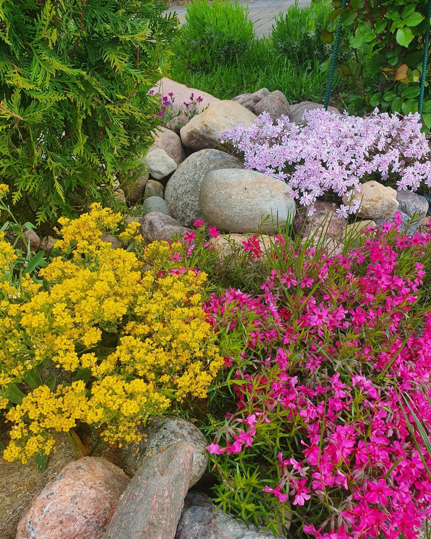 7 красивых альпийских горок, которые вы сможете повторить в своем саду2