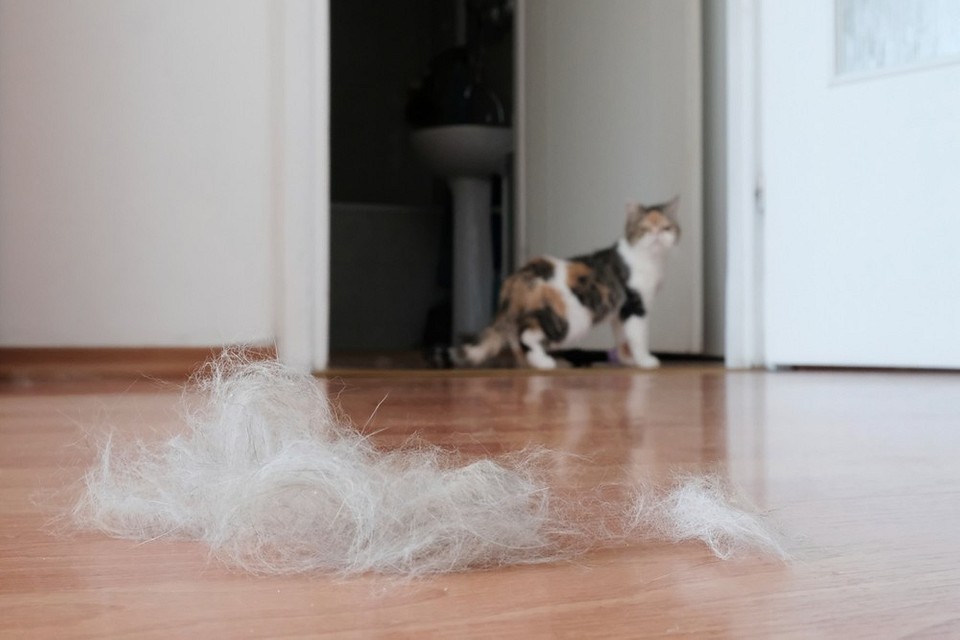 8 неочевидных причин, почему в квартире пыльно даже после уборки6