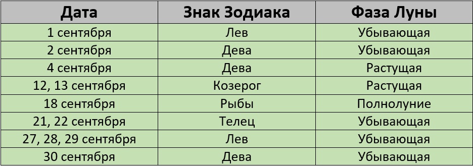 Благоприятные дни для стрижки в сентябре 2024 года по лунному календарю – Kleo.ru