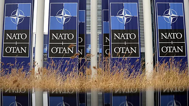 Эксперт в Италии назвал главные тенденции НАТО