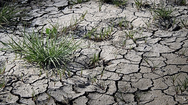 Искусственный интеллект научили прогнозировать засухи на год вперед