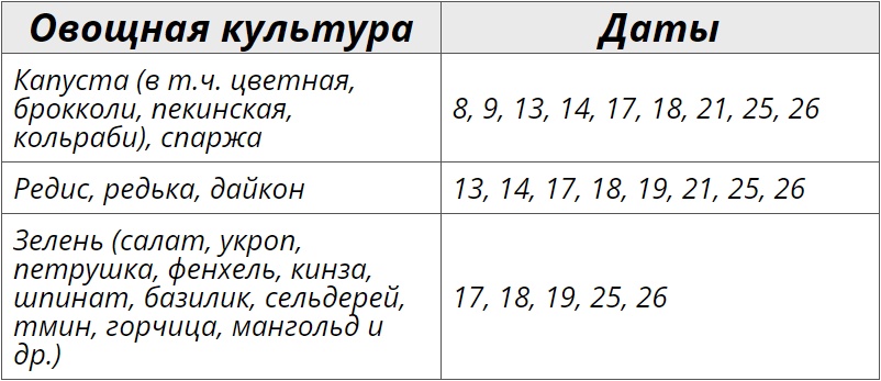 Лунный посевной календарь на сентябрь 2024 года для огородных культур – Kleo.ru