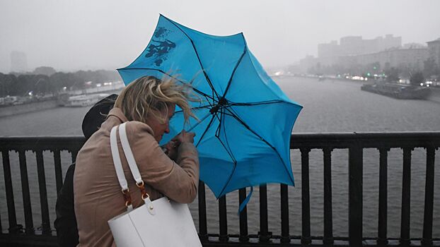 МЧС повысило уровень погодной опасности в Москве