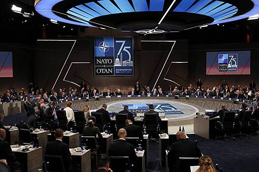 МИД Литвы разочаровался саммитом НАТО