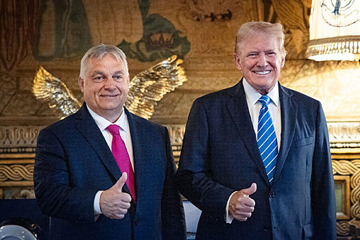 Орбан сообщил, что обсудил с Трампом мирную миссию по Украине
