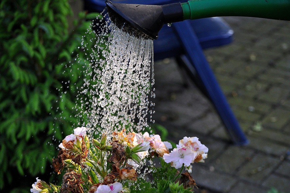 Полив огорода холодной водой из скважины: правила и рекомендации для растений1