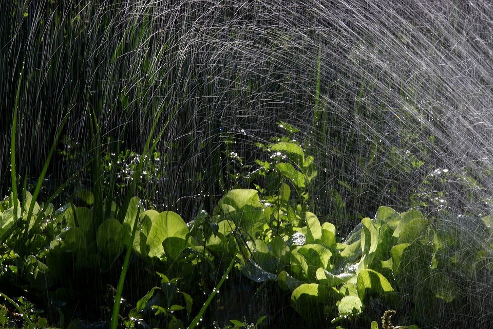 Полив огорода холодной водой из скважины: правила и рекомендации для растений4