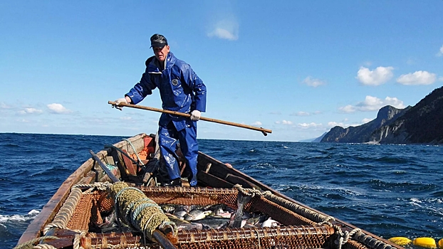 Россия приостановила японский морской промысел в зоне Курил