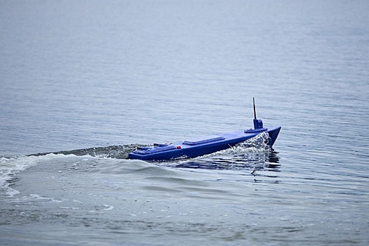 Ученые рассказали о новом морском FPV-дроне "Барабулька"