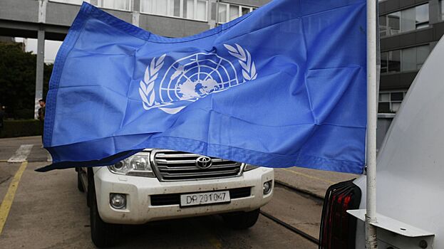 В ООН начали проверку убийства «Азовом»* военного РФ
