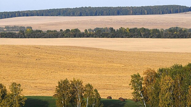 Кубанские фермеры смогут размещать туристов в своих домах