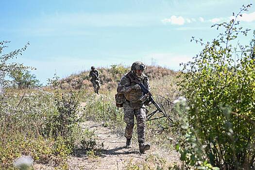 На Украине сообщили о продвижении ВС РФ на покровском направлении