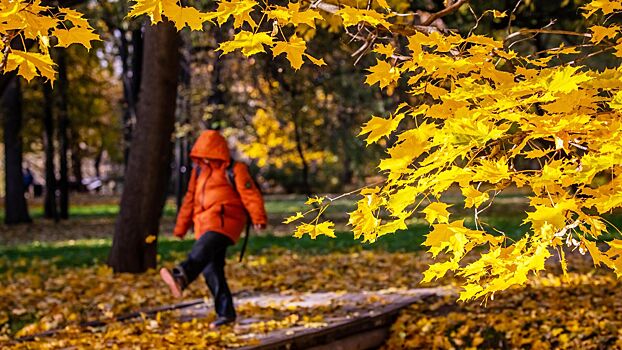 Невролог дала советы, как не впасть в меланхолию осенью