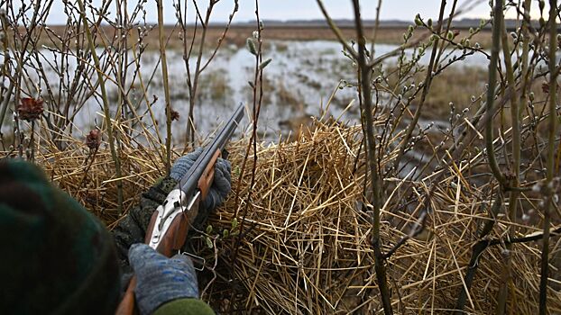 Под Вологдой проходит фестиваль «Русская охота»