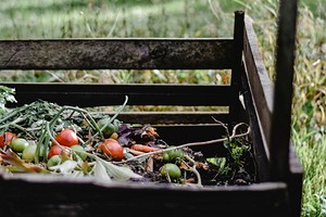 Что можно и нельзя класть в компостную яму: разрешенные отходы и те, которых лучше избегать0