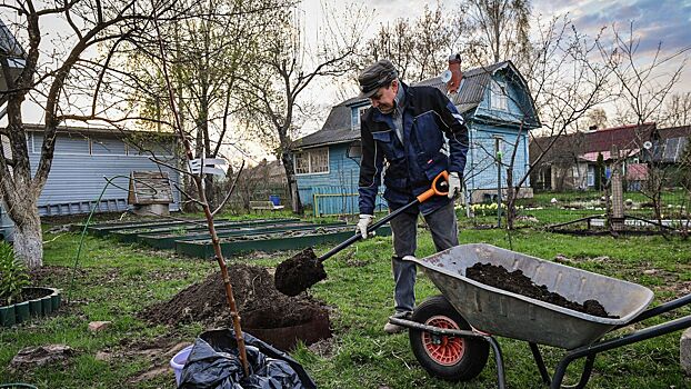 Какую ошибку дачники часто совершают осенью